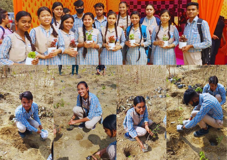 Tree Plantation Drive with GlobalLogic